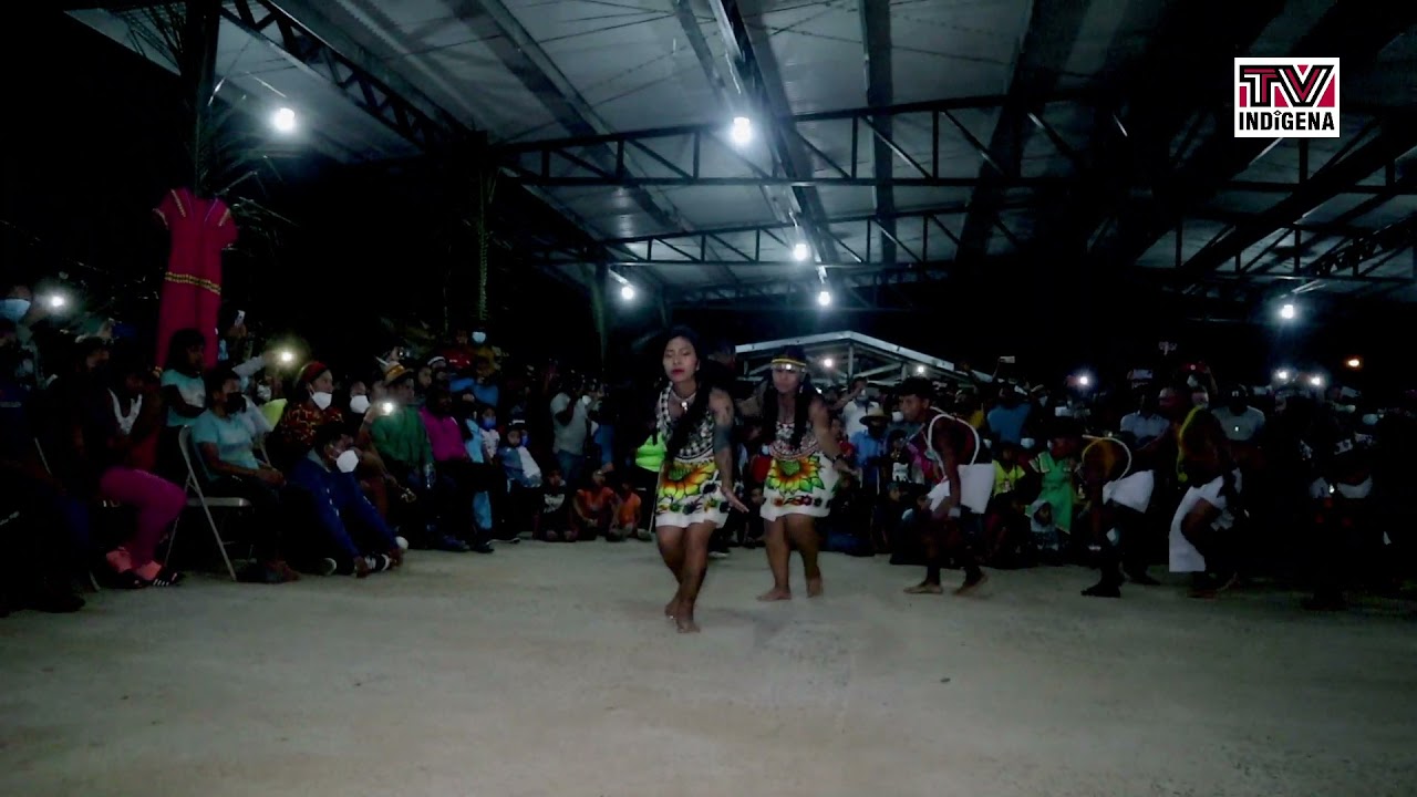 Danza Wounaan - Pelicano