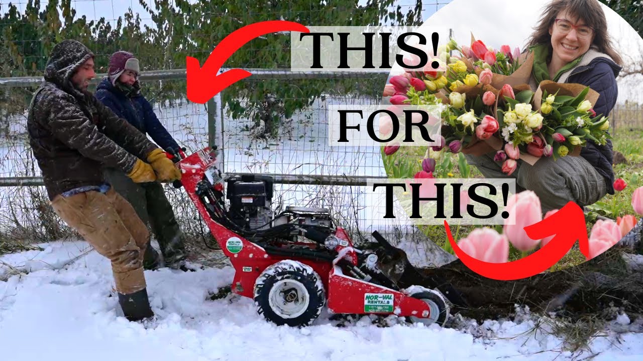 Epic Race To Plant $12,000 Worth of Flowers In Winter Snow | Peony/Daffodil/Tulip Cut Flower Farming