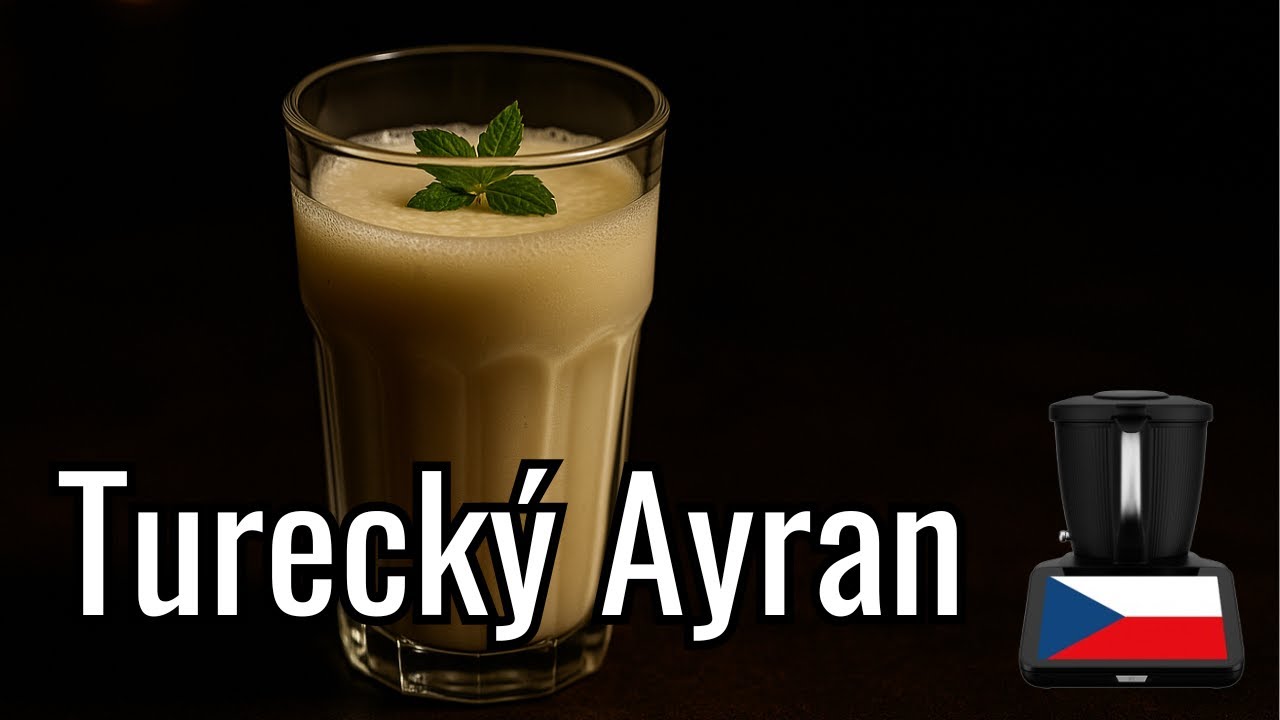 Recept na Turecký Ayran v Thermomixu - přeložený návod v češtině