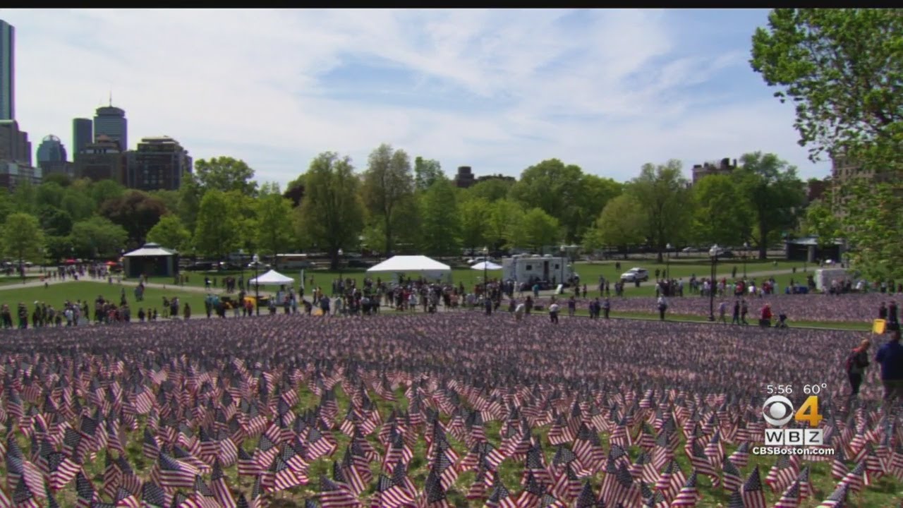 Thousands Of Memorial Flags Planted On Boston Common With Help From Patriots Players