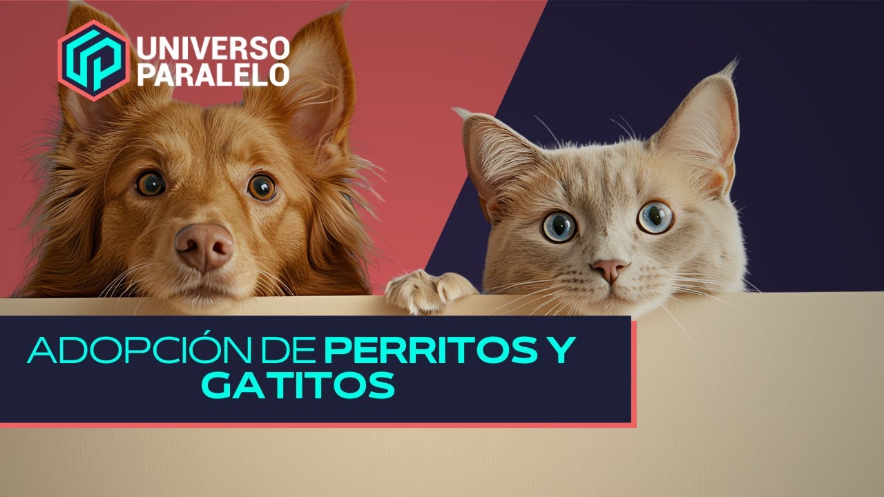 #UniversoParalelo