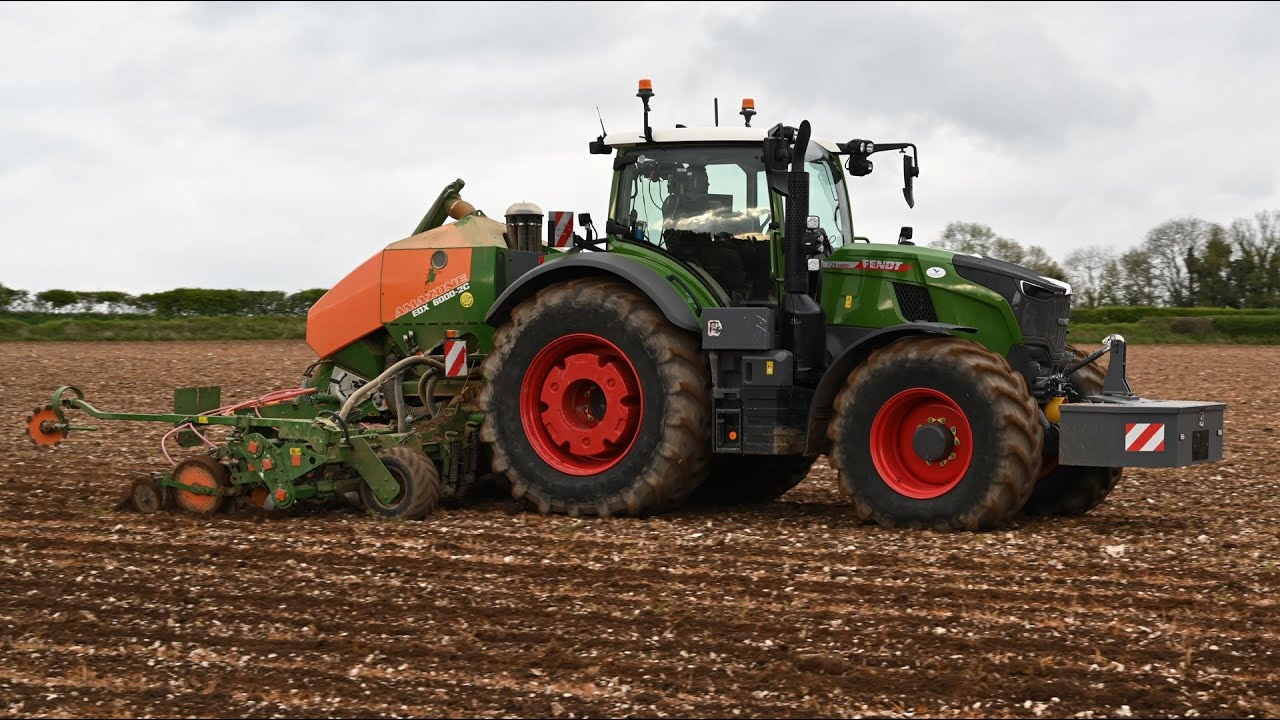 Maize Drilling with NEW Fendt 726 & Amazone drill