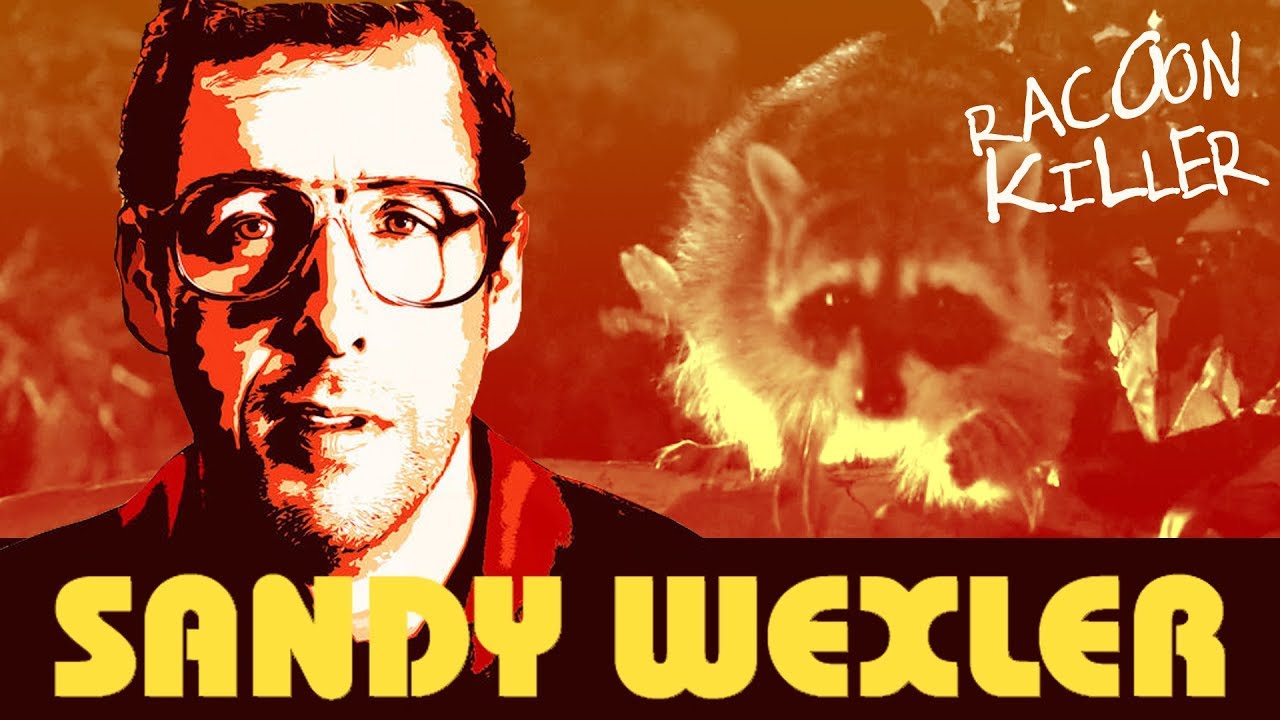 Sandy Wexler: Racoon Scene
