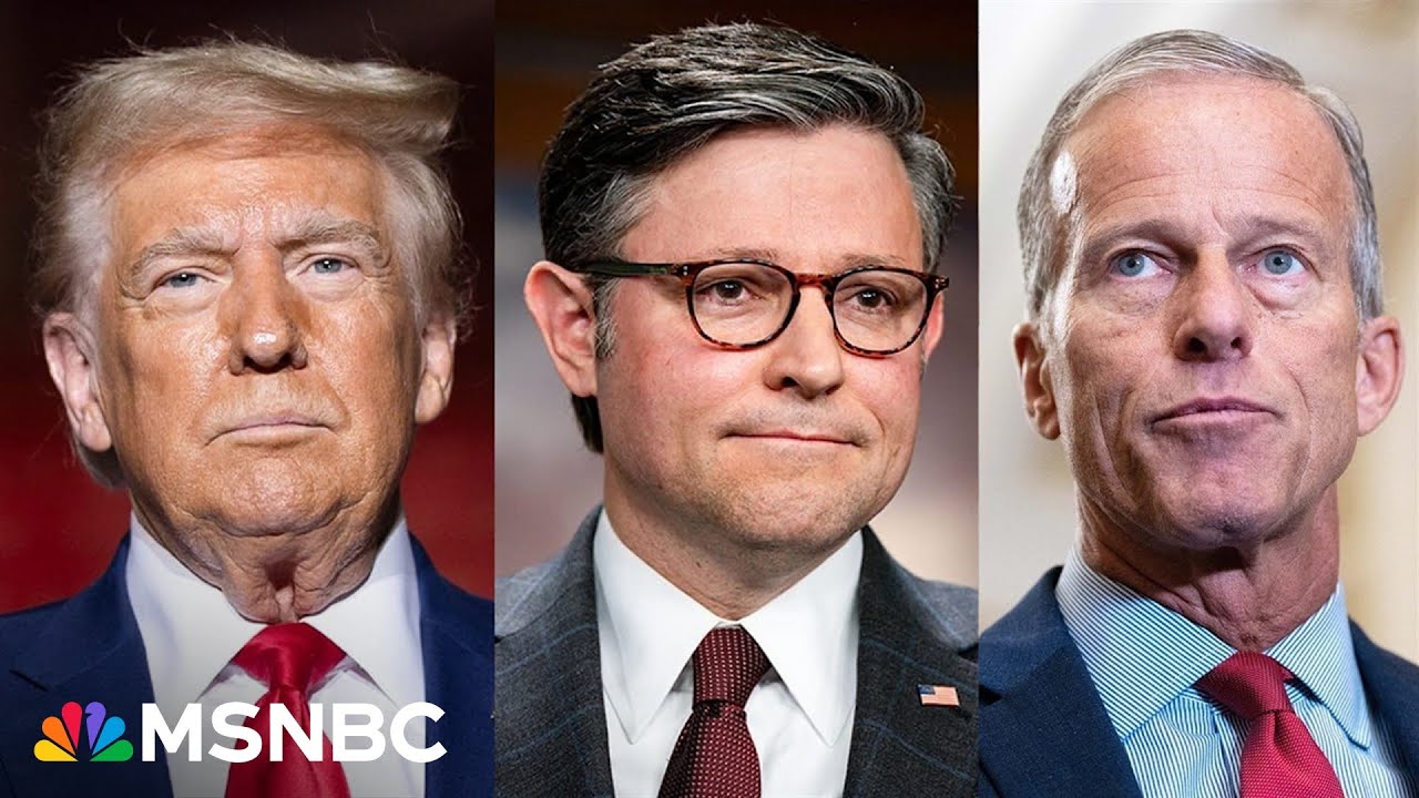 'Can't trust Trump to follow through on a deal': GOP strategist on shutdown