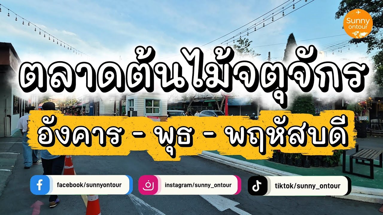 ตลาดต้นไม้​จตุจักร​ ใกล้​รถไฟฟ้า​ใต้ดิน​สถานี​กำแพงเพชร​ ประตู 2 | Sunny​ ontour​