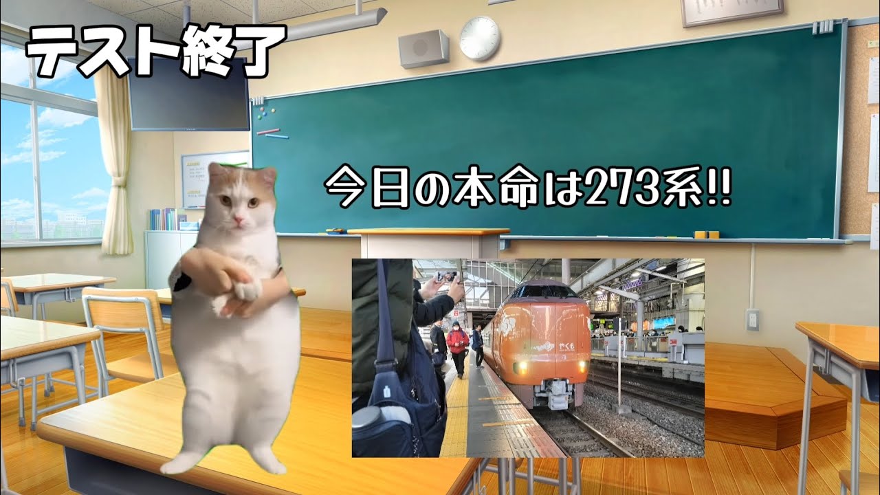 【猫ミーム】273系の試運転を撮りに行った日の話【鉄道旅】