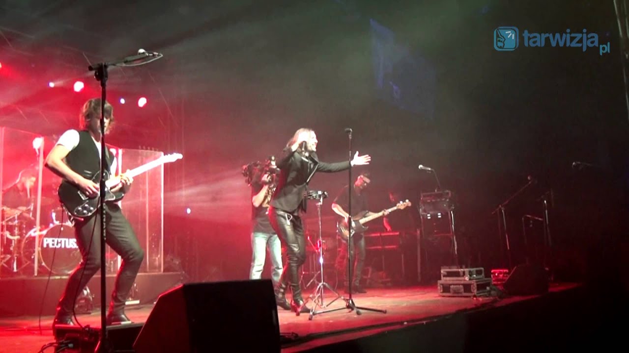 Koncert zespołu Pectus