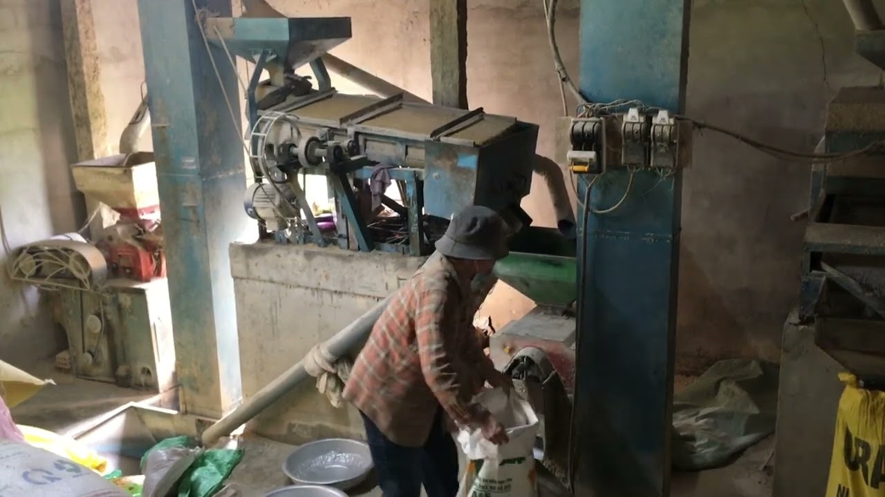 Hôm Nay Bếp Lại Có Việc