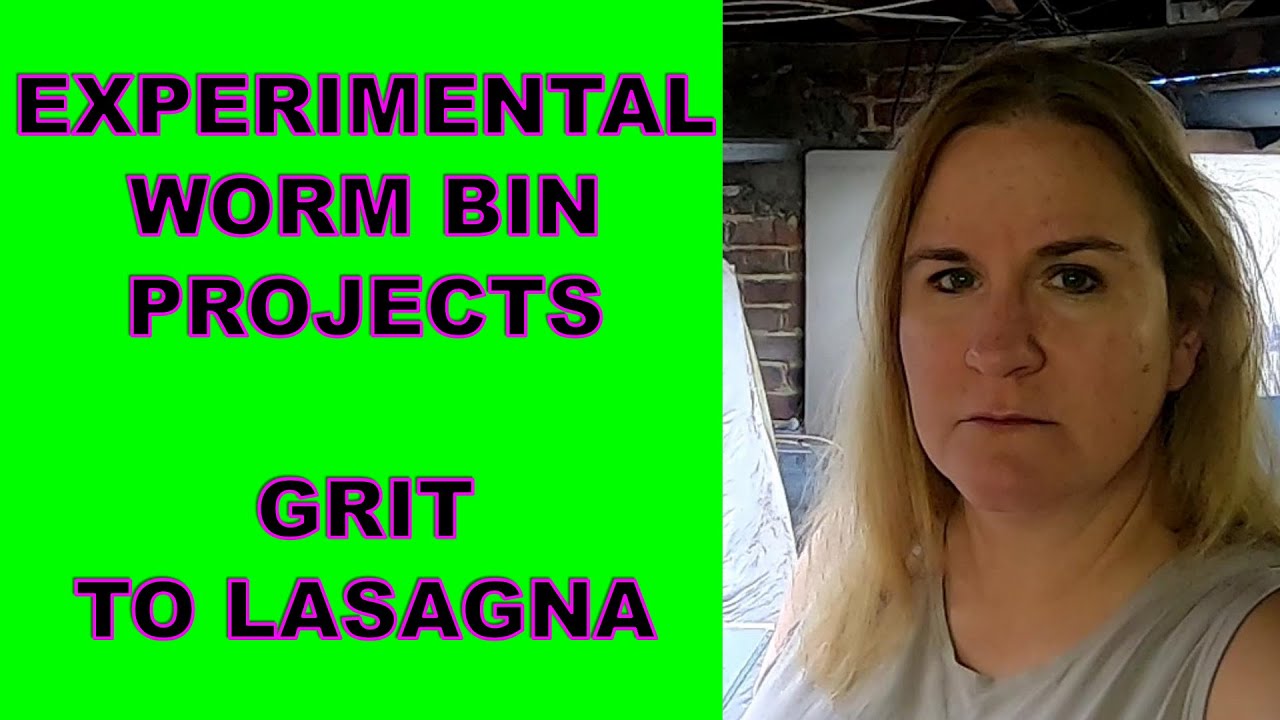 ALL MY WORM BIN PROJECTS