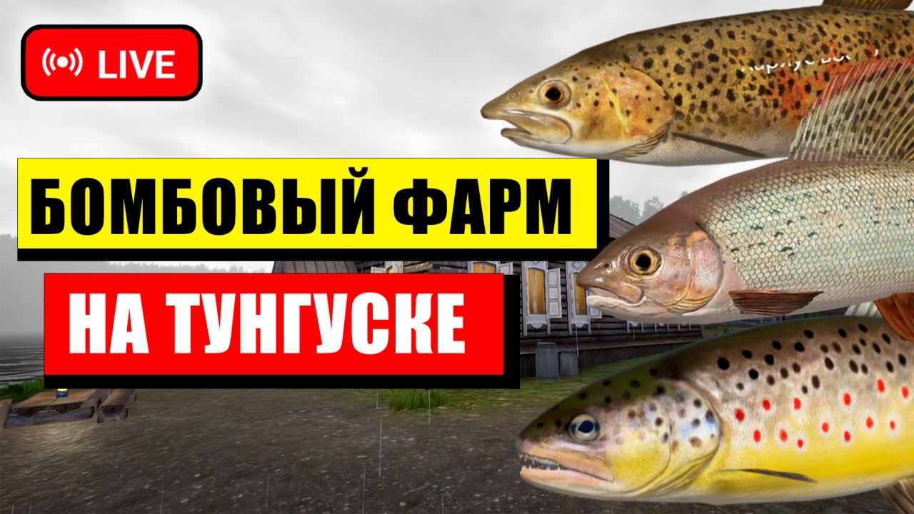 ПРОВЕРЯЕМ ФАРМ на КОИ на МЕДНОМ ОЗЕРЕ и на АХТУБУ за РУССКИМ ОСЕТРОМ! • СТРИМ• Русская Рыбалка 4 РР4