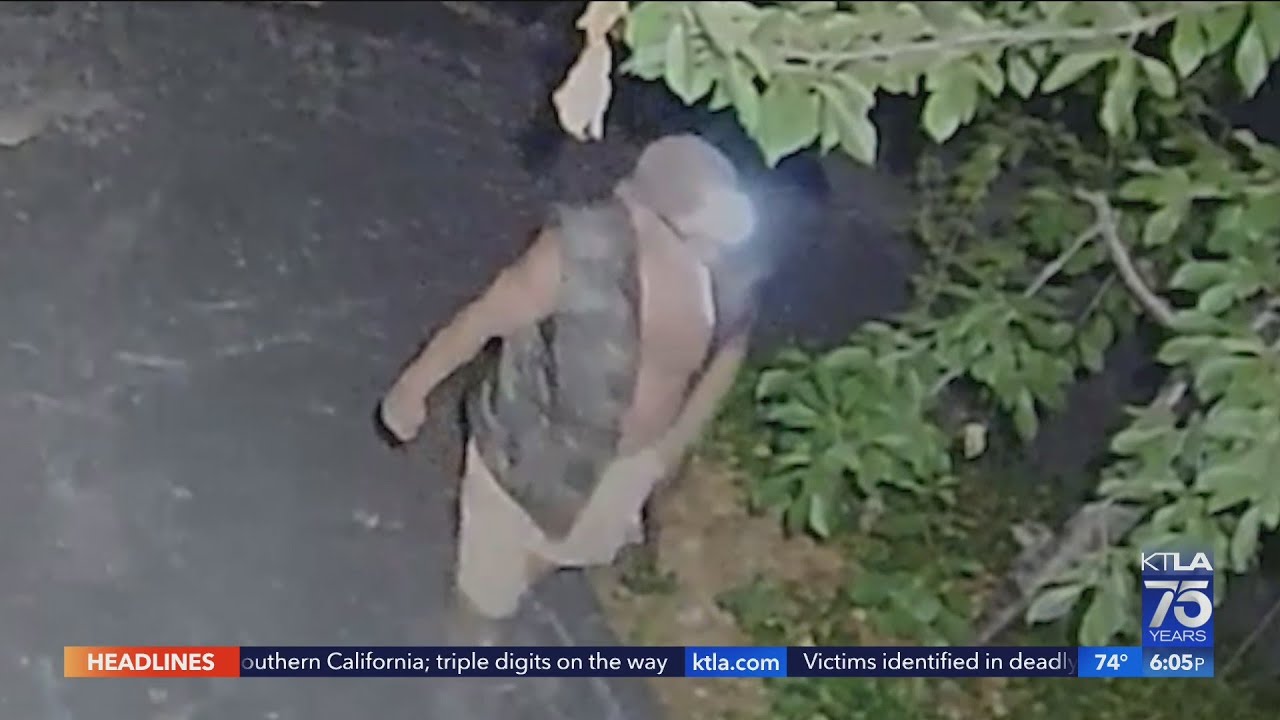 Forest Falls residents claim neighbor has been terrorizing them for a decade