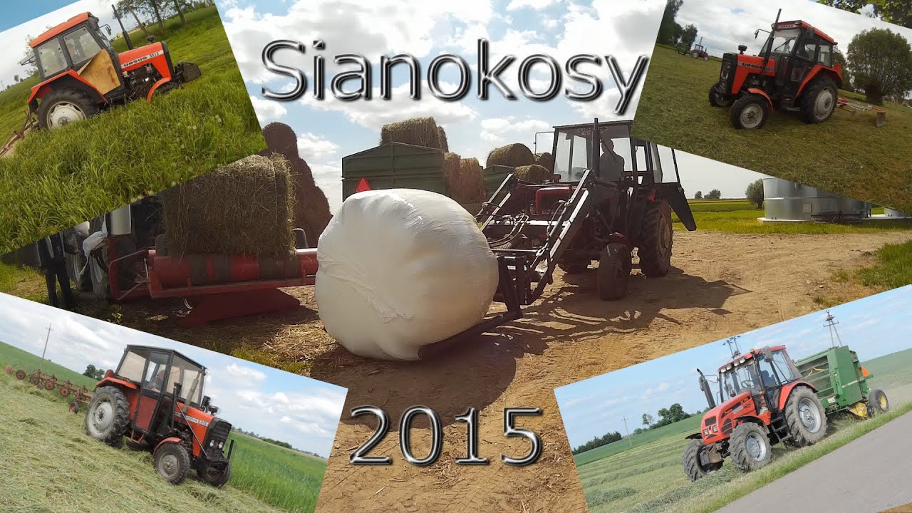 Sianokosy 2015