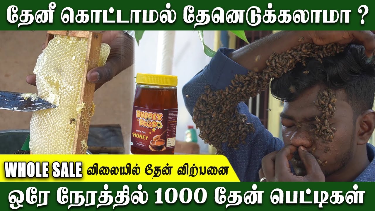 Можно ли собирать мёд без укусов пчёл? | Nature Honey Amazing Youth | 1000 коробок |