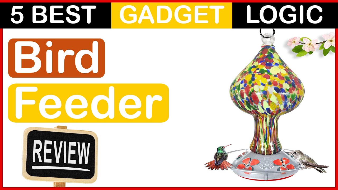 ✅ Best Bird Feeder For Hummingbirds in 2023 🍳 Top 5 Tested [Buying Guide]