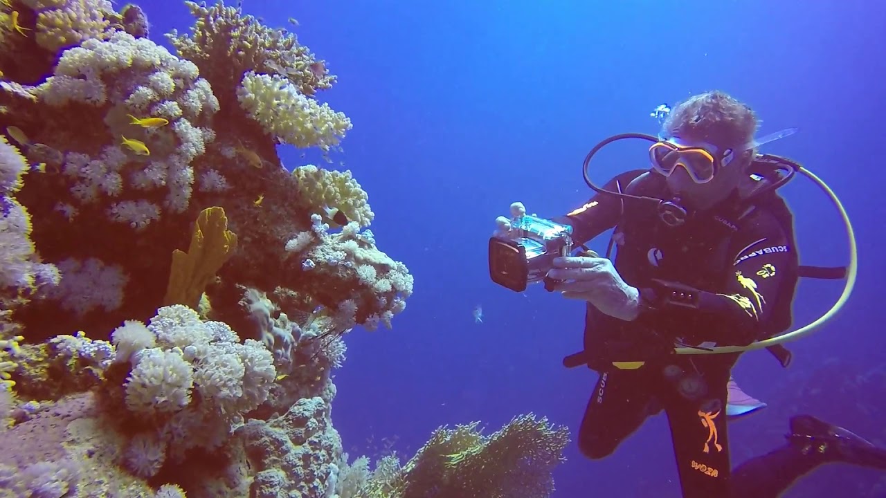 # Tauchen El Quseir # Ganztagestour # diving.de flamenco # red sea # egypt