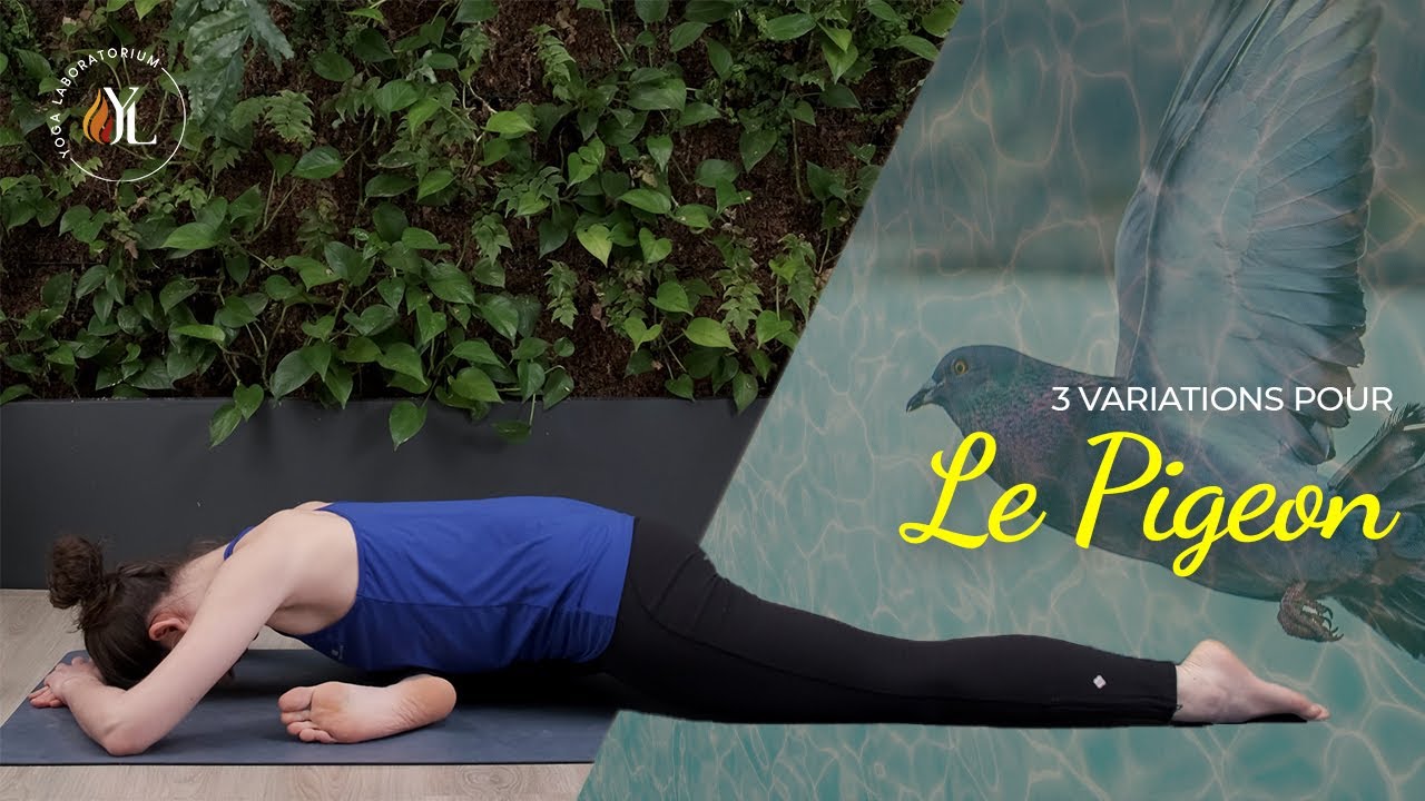 Les variations pour la posture du pigeon