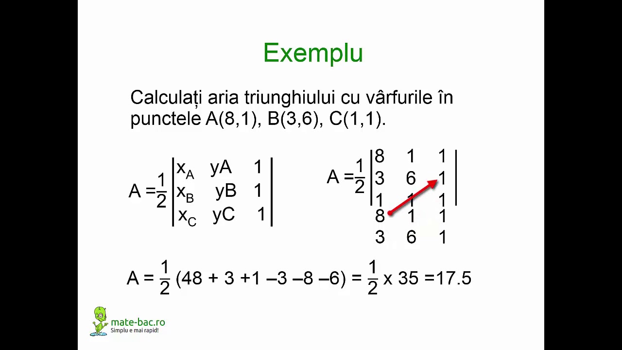 Aplicatii ale determinantilor in geometrie _ Algebra cls. a 11a