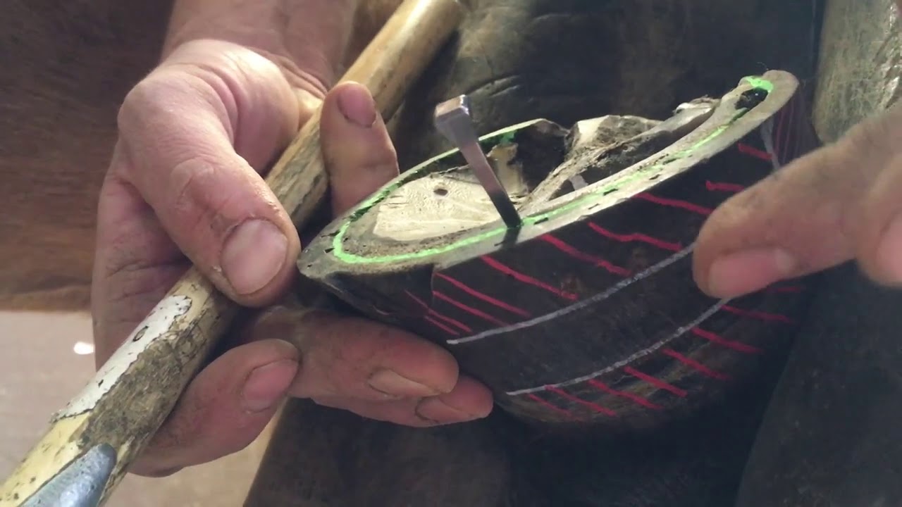 Der Hufschmied - Schwerpunkt Nageln