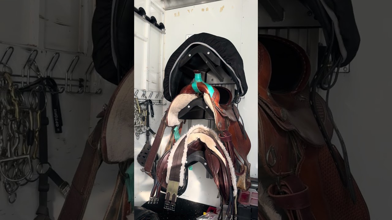 Sundowner Sunlite 777 Special Edition Walk Through