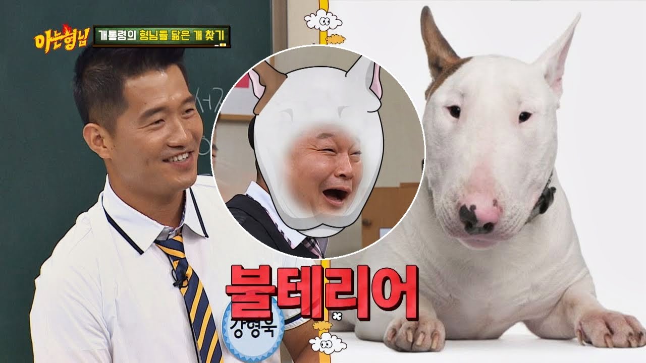 개통령 강형욱(kang hyung wook)의 형님들 닮은 개 찾기 (※복붙주의※) 아는 형님(Knowing bros) 194회