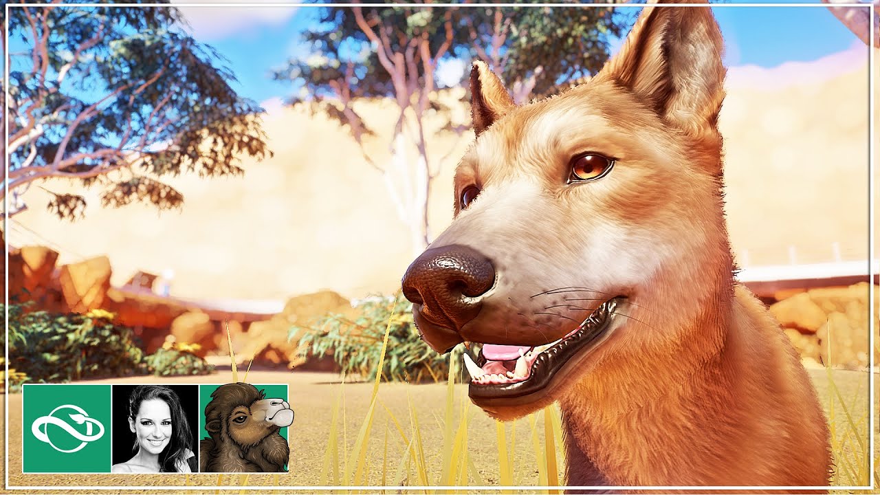 🐫 Dingo habitat & cave viewing | Desert Franchise Mode | Planet Zoo |