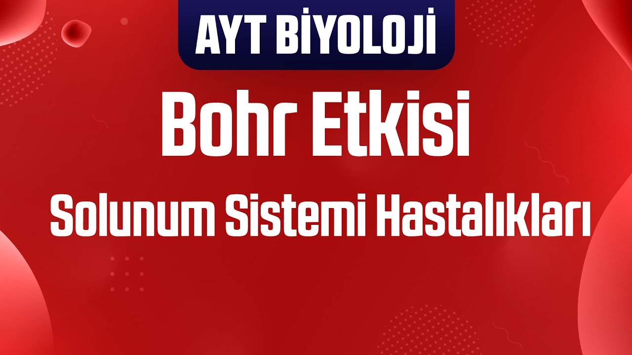 26) Bohr Etkisi ve Solunum Sistemi Hastalıkları