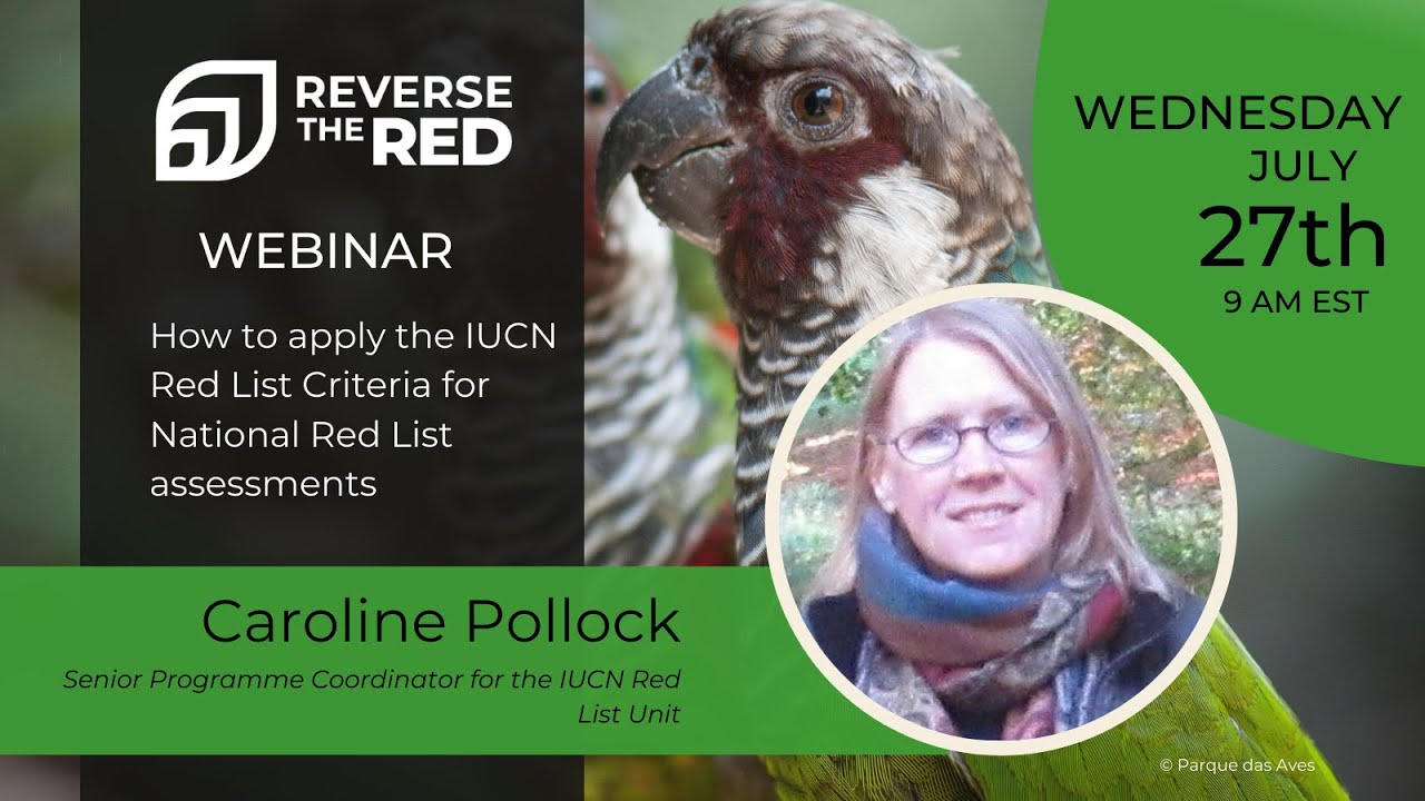 How to apply the IUCN Red List Criteria for National Red List assessments