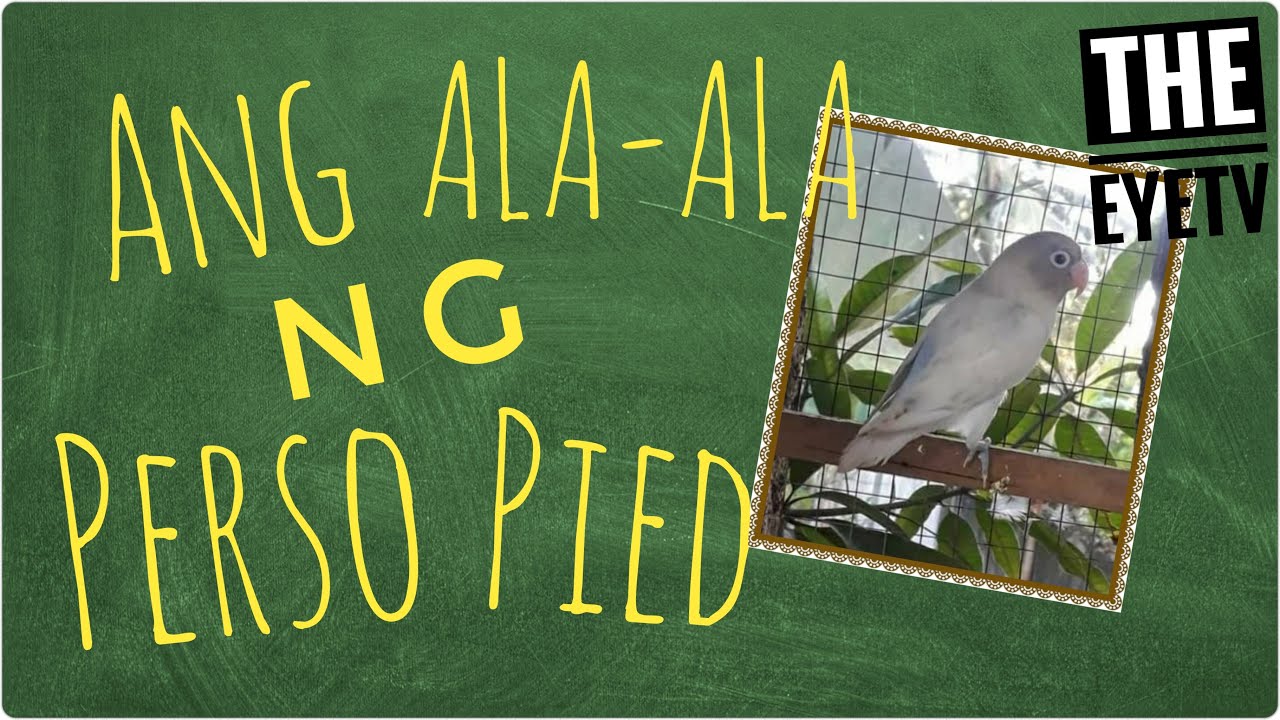 Ang Alaala ng Personata Pied (Usapang Ibon Vlog 026)