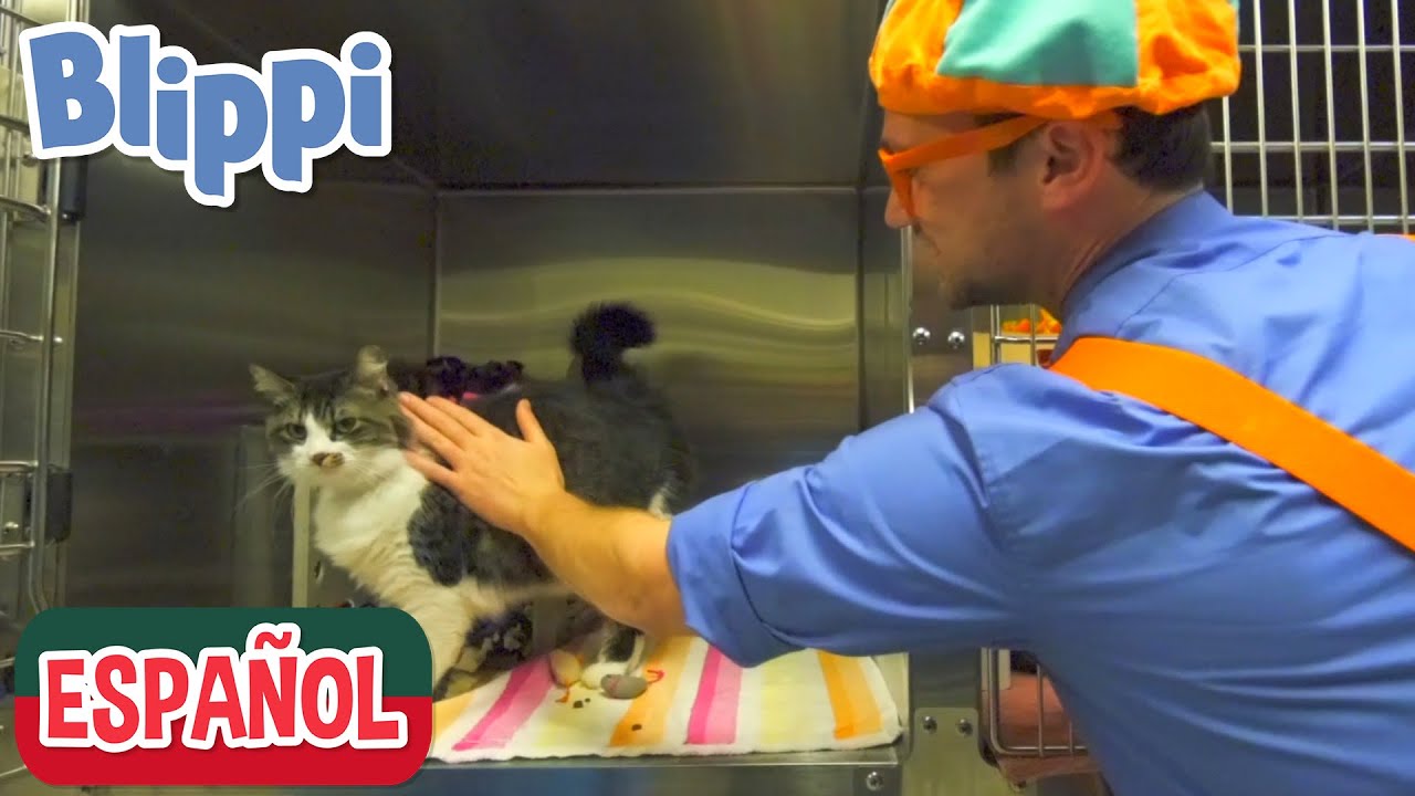 Blippi visita un Refugio de Animales| Compilaci&oacute;n | Aprende con Blippi