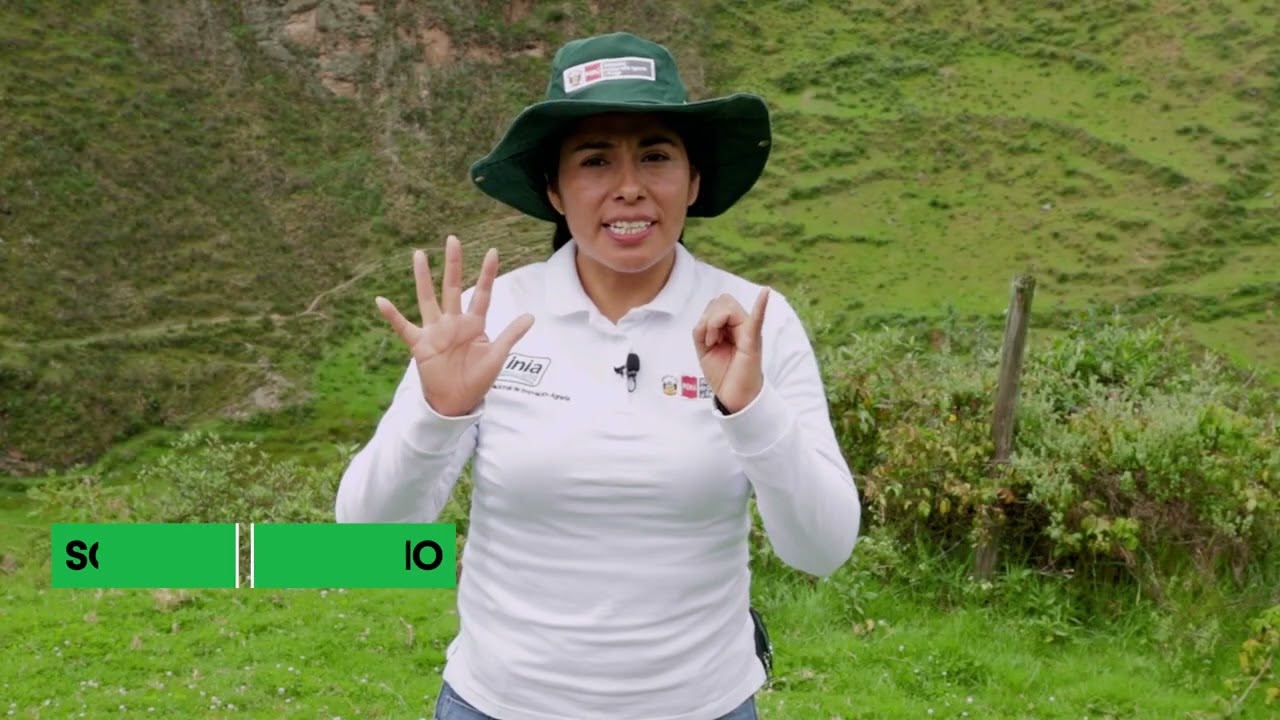 Técnicas de muestreo de suelo
