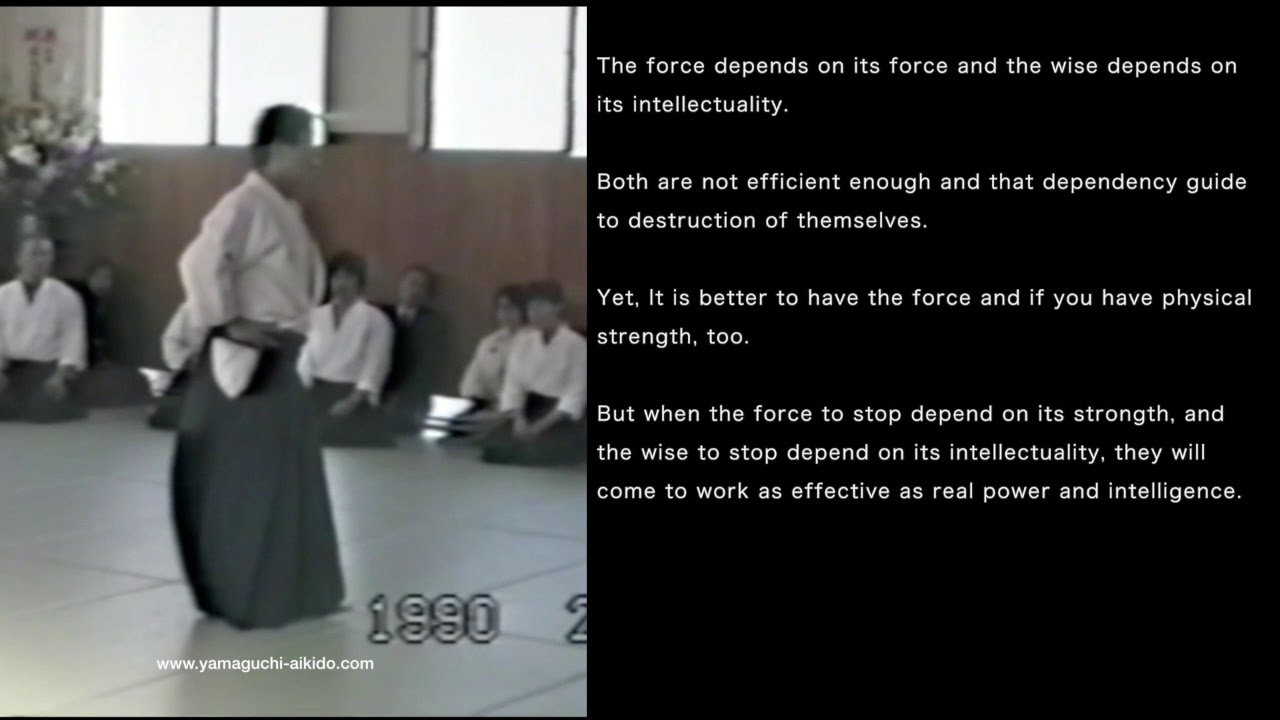1990 Yamaguchi Seigo sensei