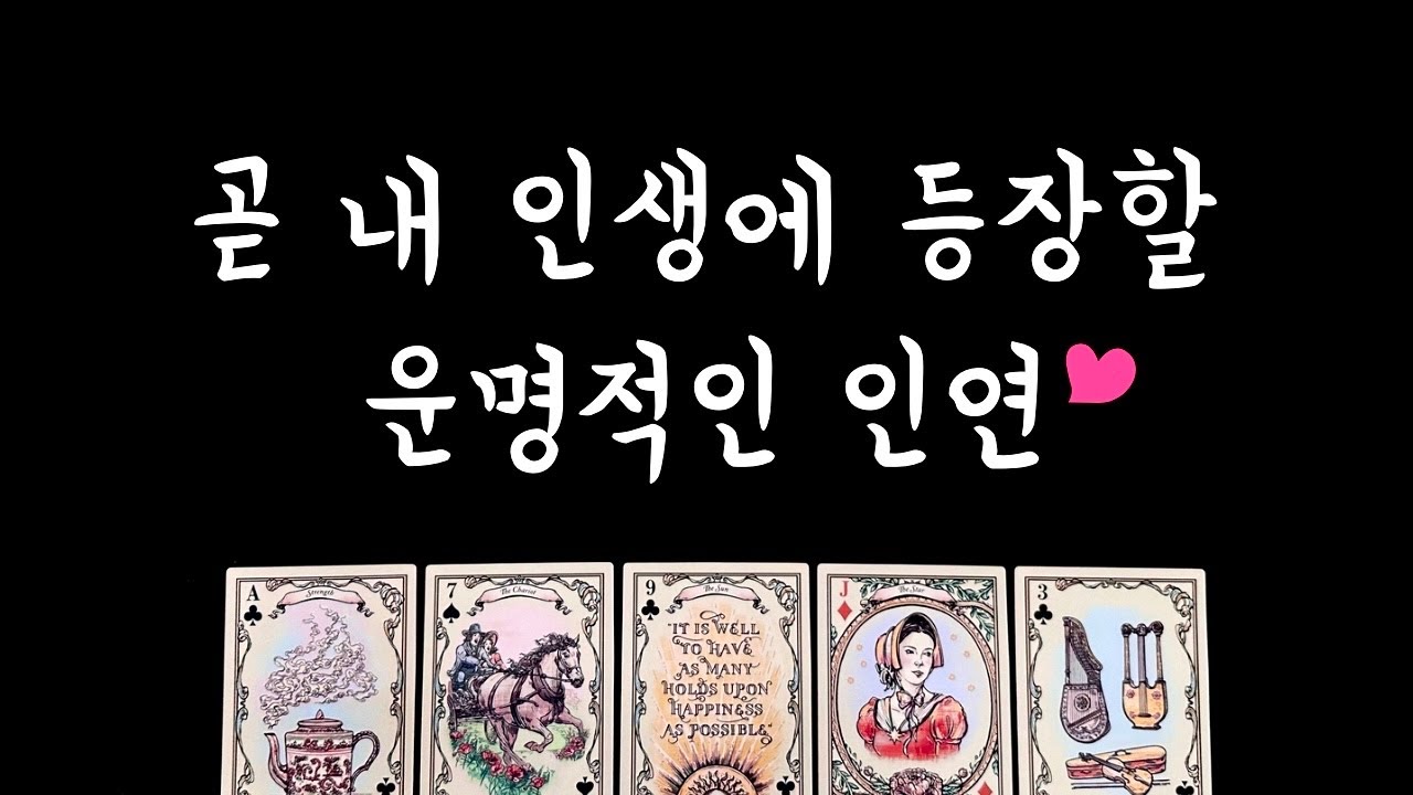[타로] 운명적인 인연🌟외모, 성격, 직업, 별자리, 만남시기