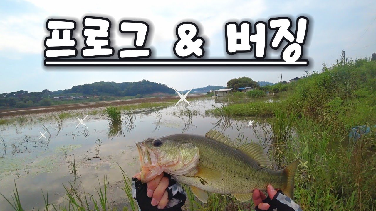 전대지 프로그 & 버징 미친 바이트 feat.전설의 87만회 쇼츠 영상