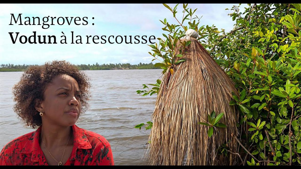 Bénin : le Vodun à la rescousse des mangroves
