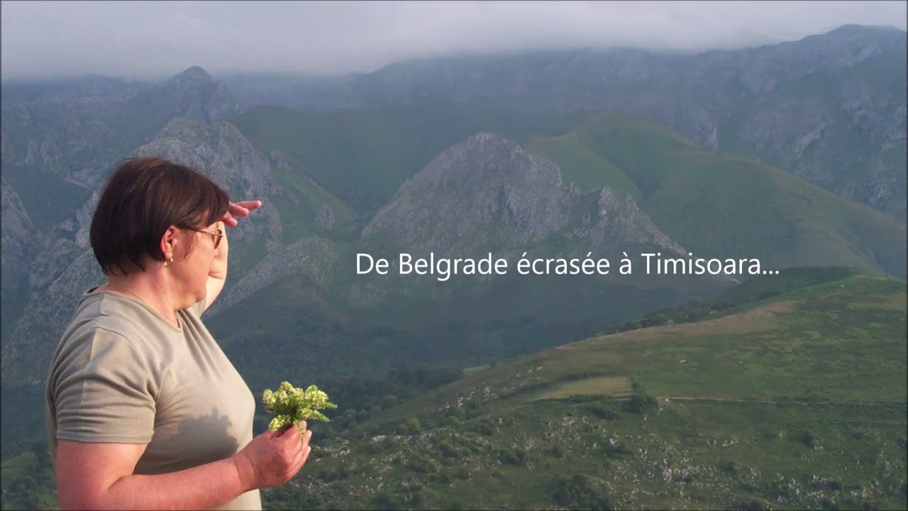 Je t'ai cherchée