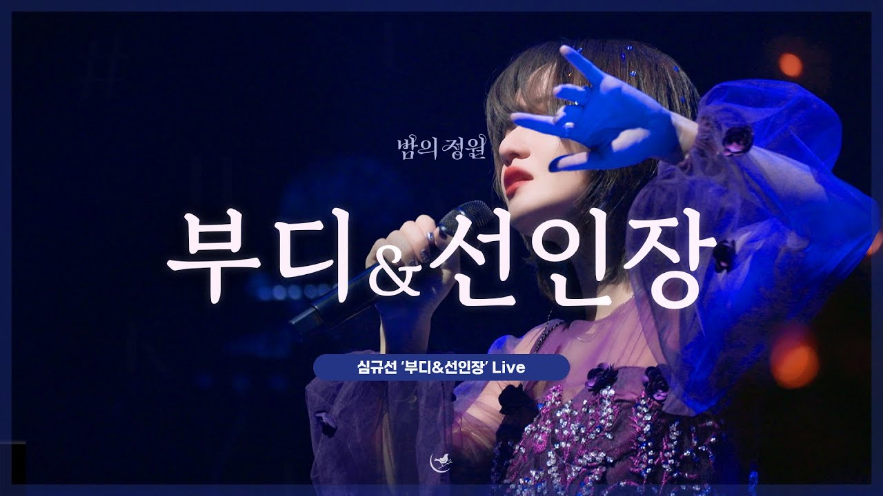 심규선 '부디' & '선인장' LIVE｜2022 심규선 단독 콘서트 '밤의 정원 : ENCORE'
