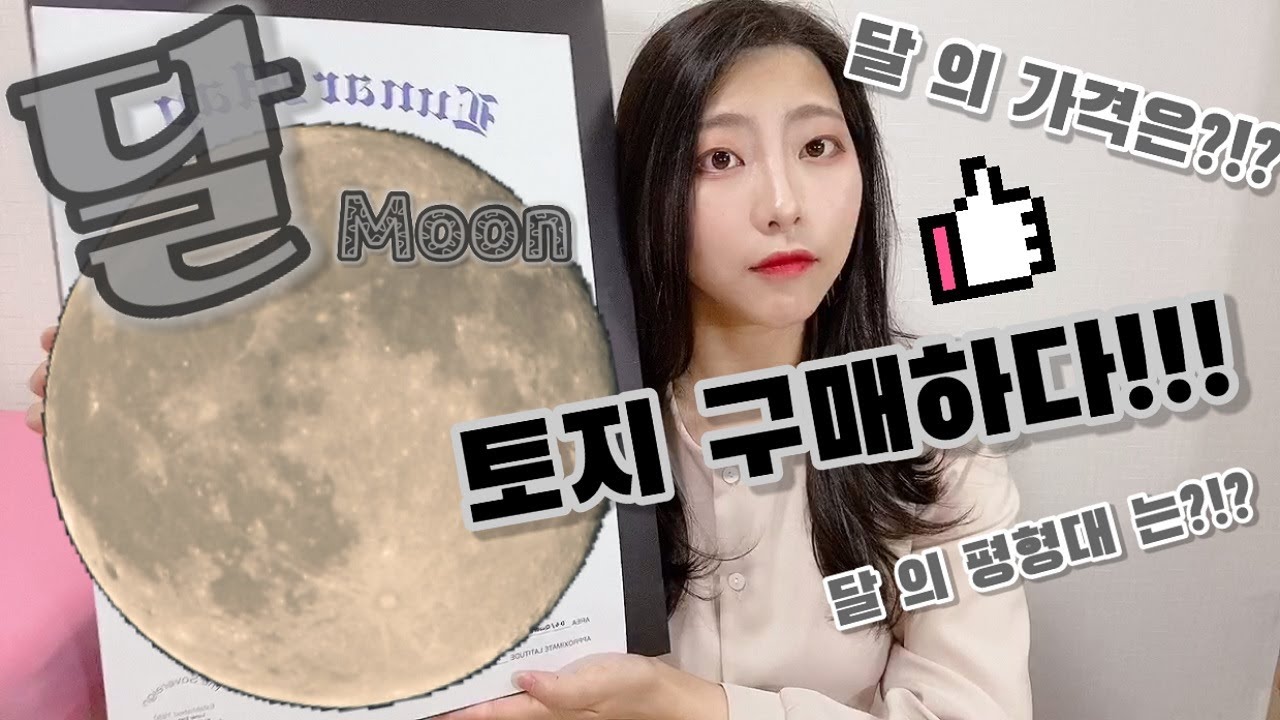 달 토지를 구매하다?!? [달토지 택배 개봉기]