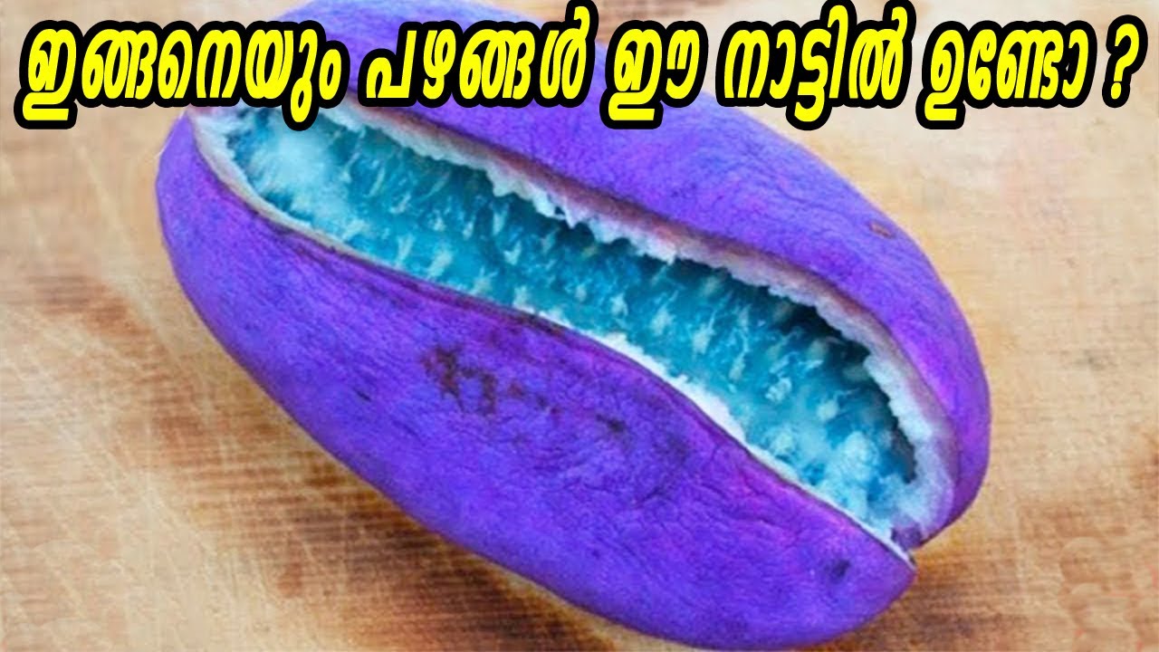 തിന്നാൽ ശരീരത്തിൽ സുഗന്ധമേകുന്ന പഴവും പുളിക്കുന്ന മുളകും| കേട്ടുകേൾവി പോലുമില്ലാത്ത പഴവും പച്ചകറിയും