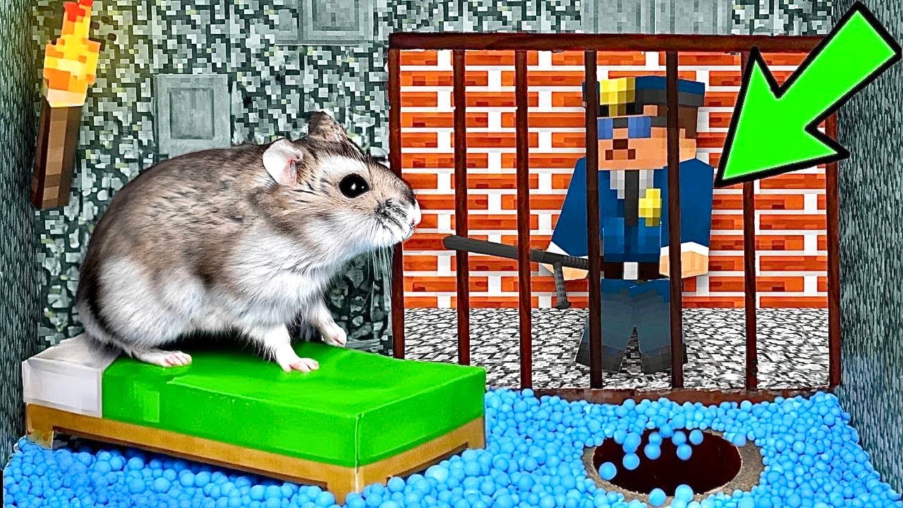 🐹ESCAPE MINECRAFT Hamster Maze with Traps 😱[OBSTACLE COURSE]😱