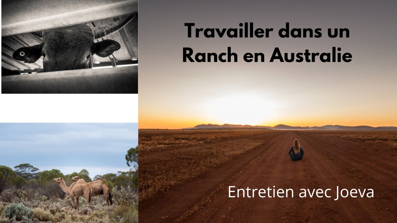 Travailler dans un Ranch en Australie: Entretien avec Joeva