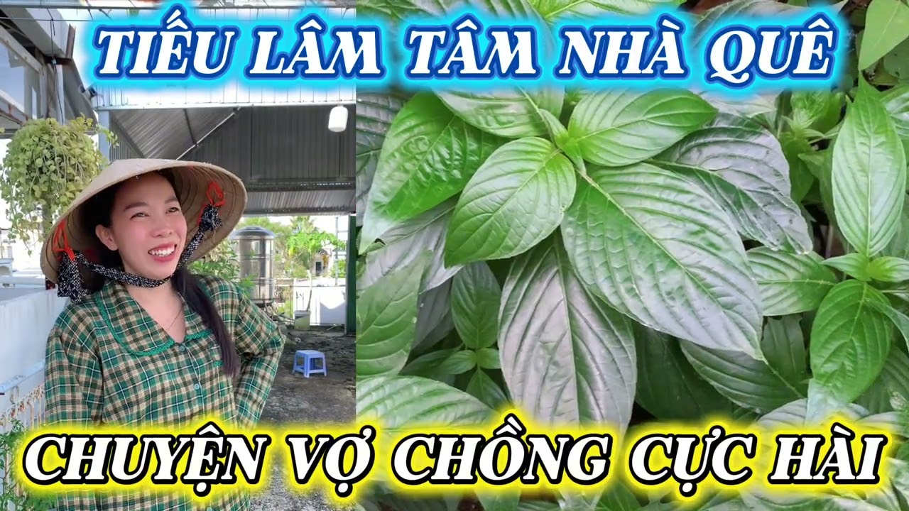 Chuyện tiếu lâm, giọng kể miền tây cực hài