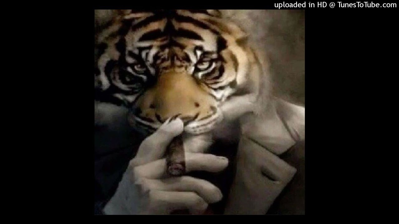 *free* perc40 type beat