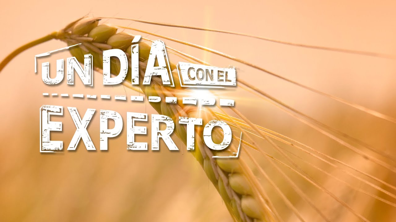 UN DÍA CON EL EXPERTO. Tratamiento de Semillas en cultivos de CEREALES