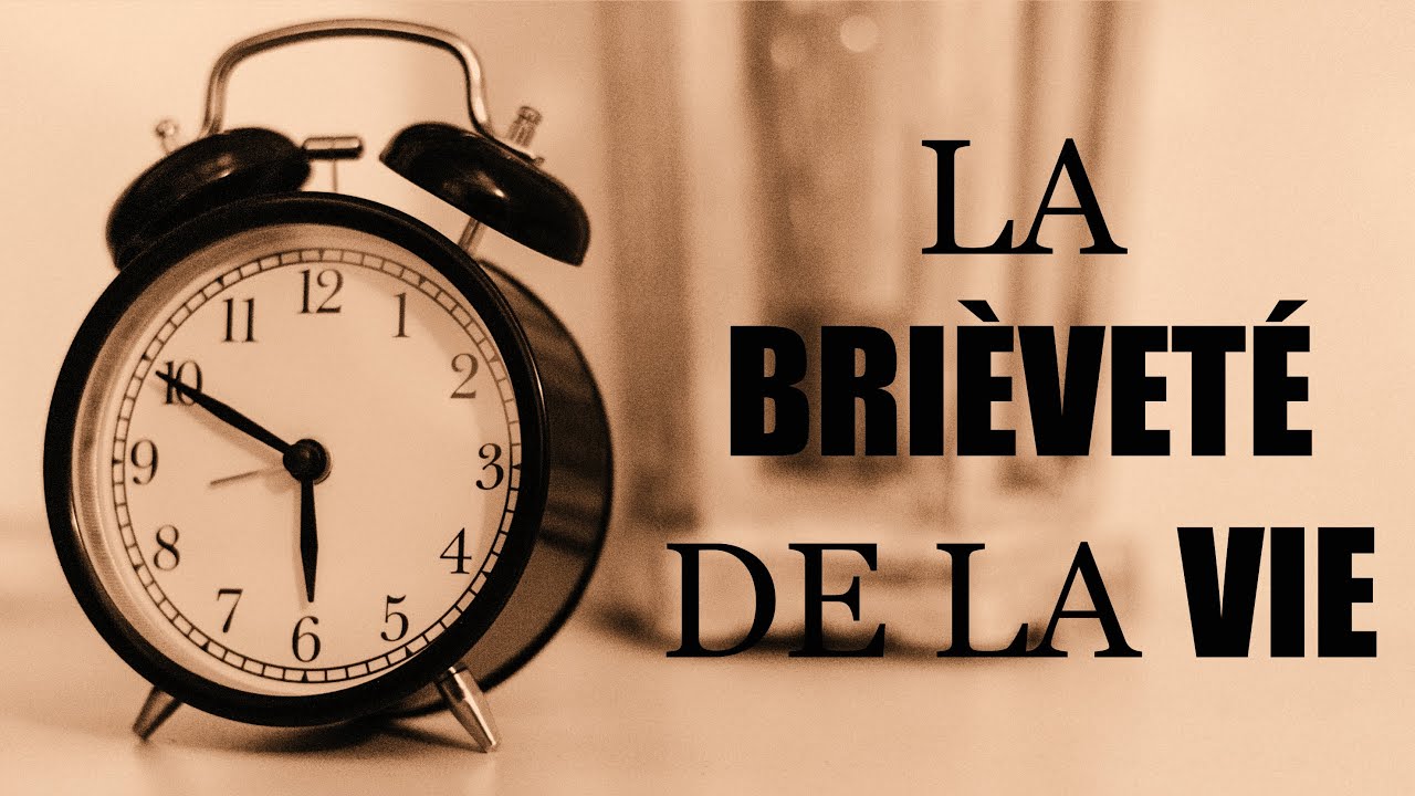 La brièveté de la vie - Anthony Bergès