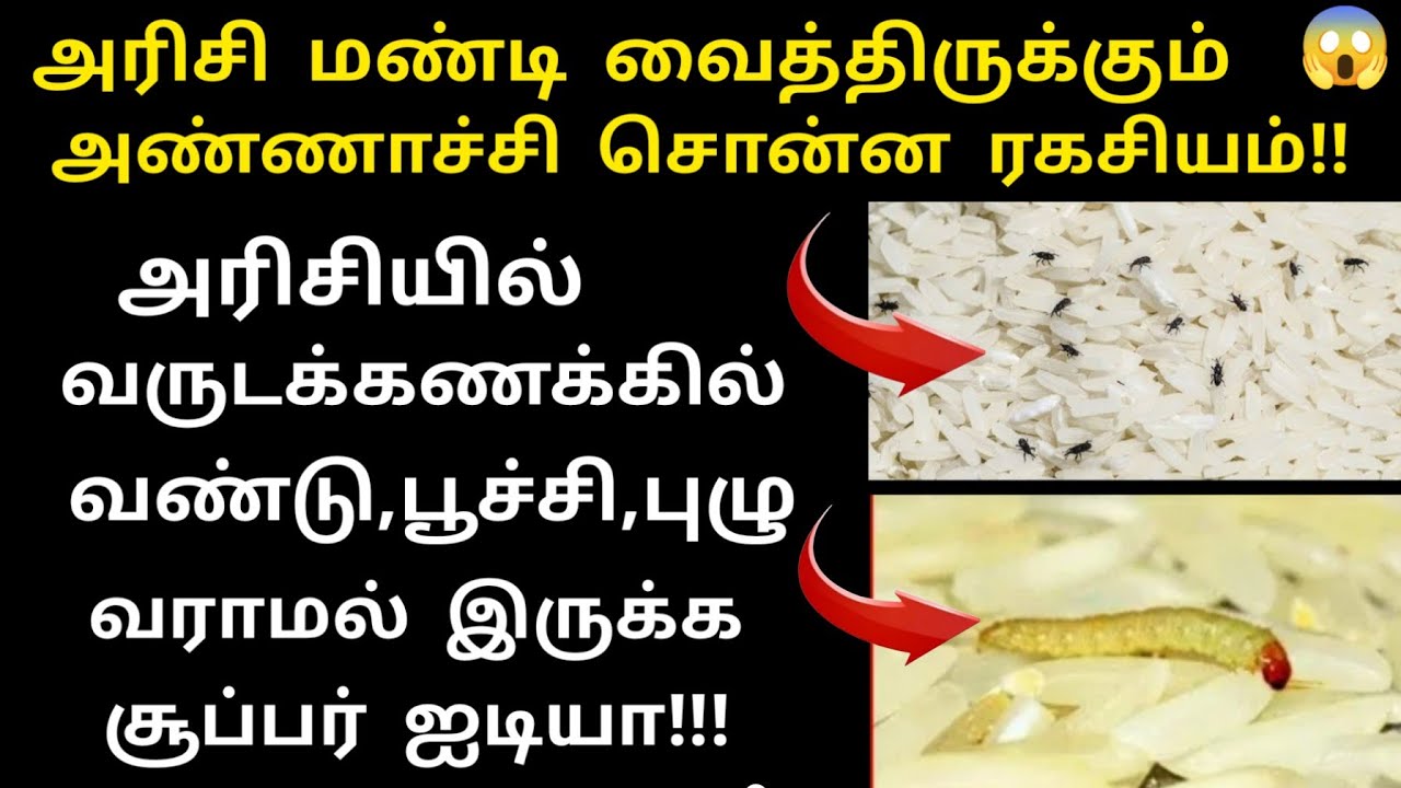 ஒரு வருடம் ஆனாலும் அரிசியில் வண்டு, பூச்சி, புழு ,வராமல் இருக்க டிப்ஸ். இது மட்டும் இருந்தா போதும்..