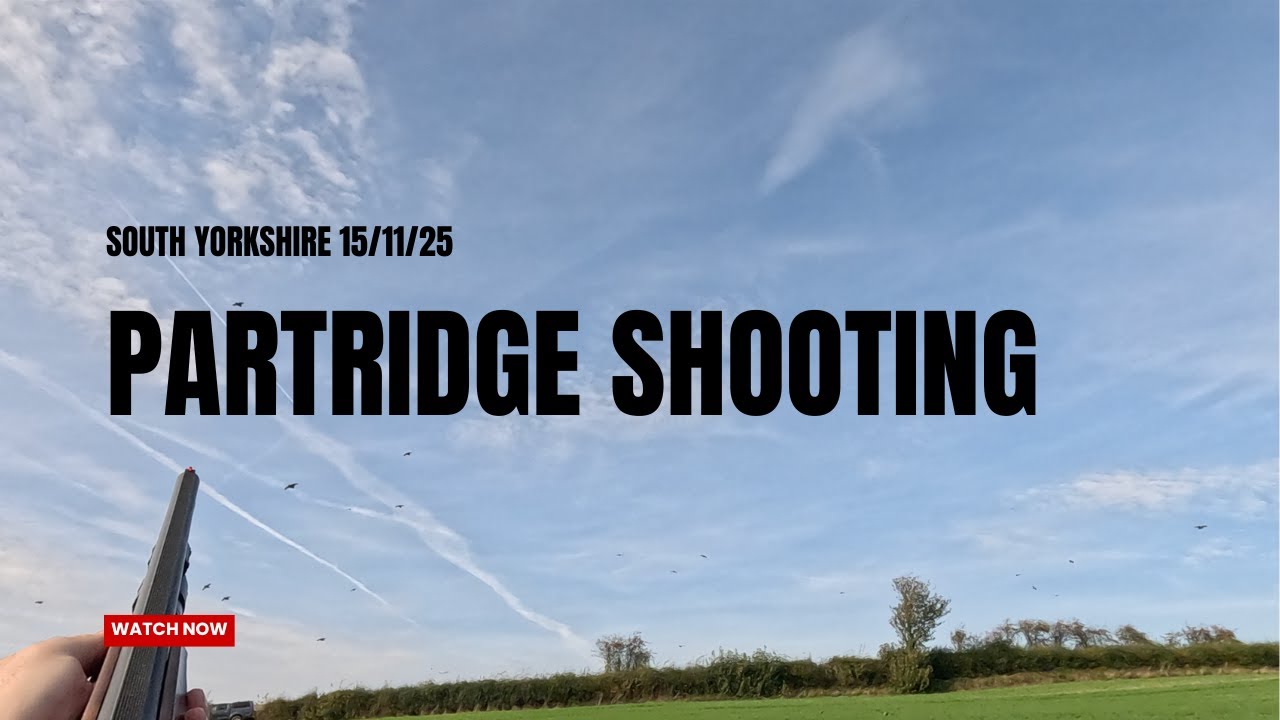 Partridge Shooting 15/11/25 (Got my 1st Pheasant of the Season)