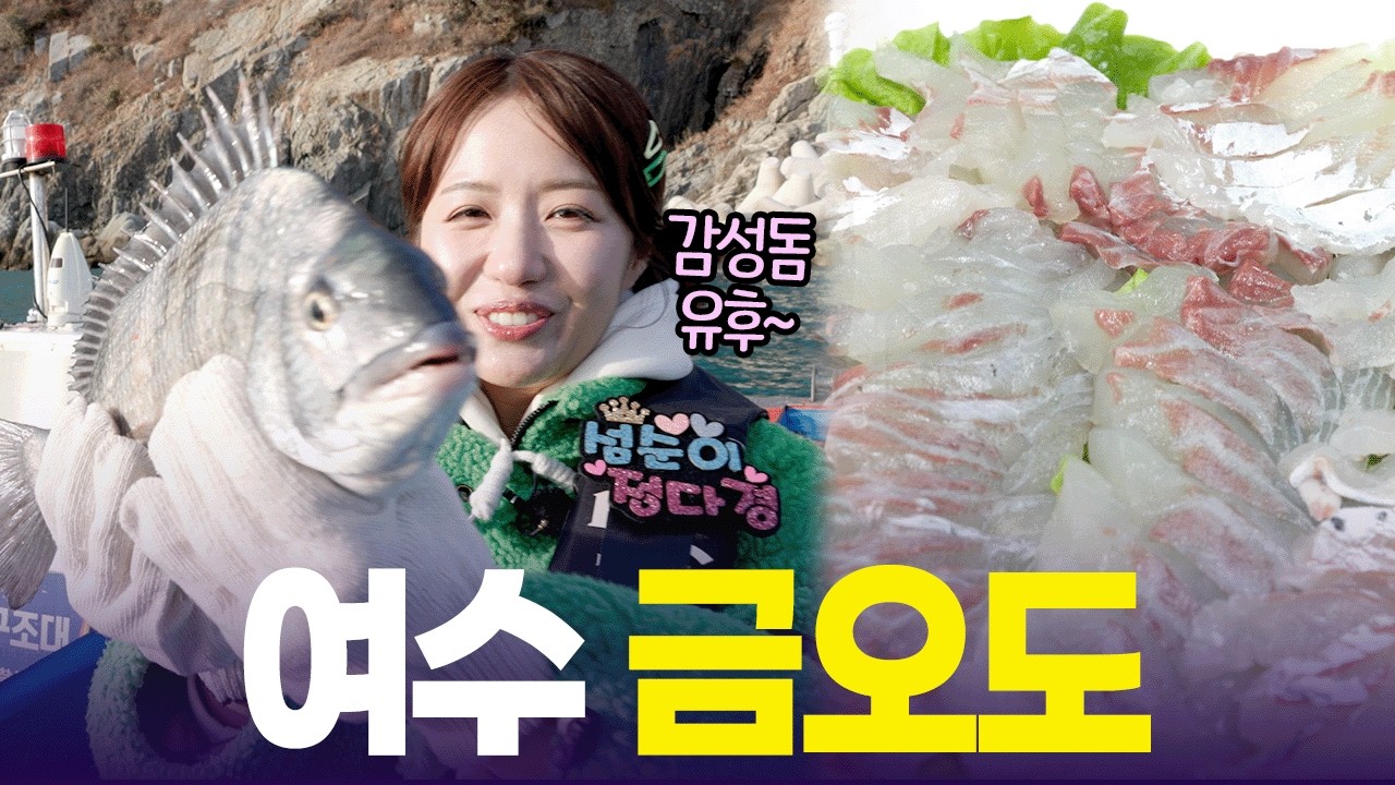 여기가 감성돔 성지 맞나요?🐟 다경아씨 먹자마자 반한 쫄깃탱탱 금오도 감성돔[6시 내고향] | KBS 260213 방송