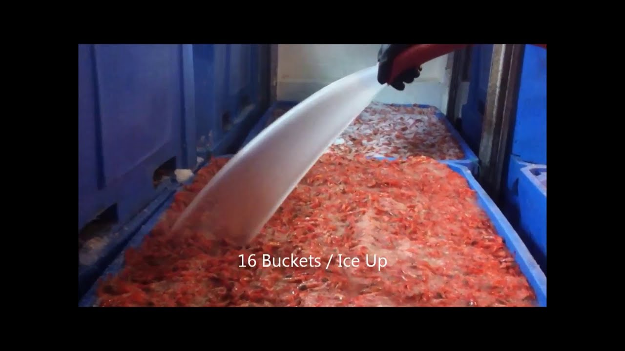 DeepChill Slurry Ice System Onboard