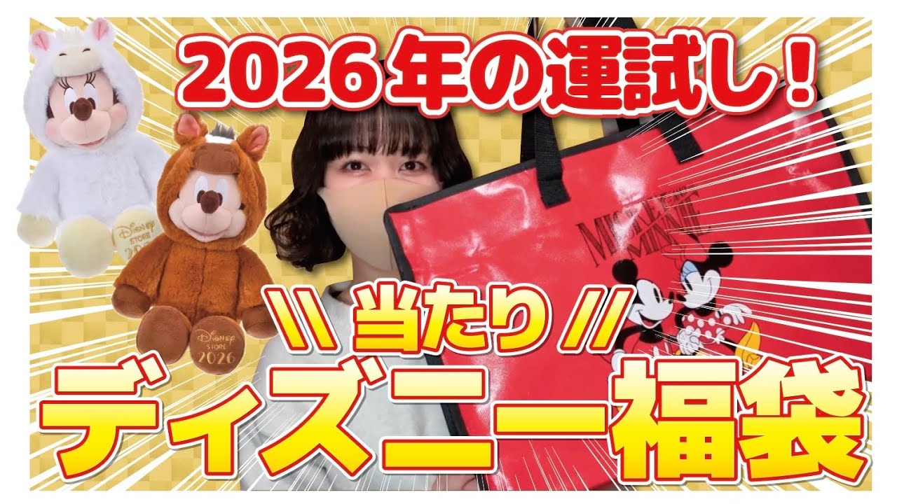 【福袋】やっぱり大当たり！ディズニーストアの福袋で来年の運試し‼︎
