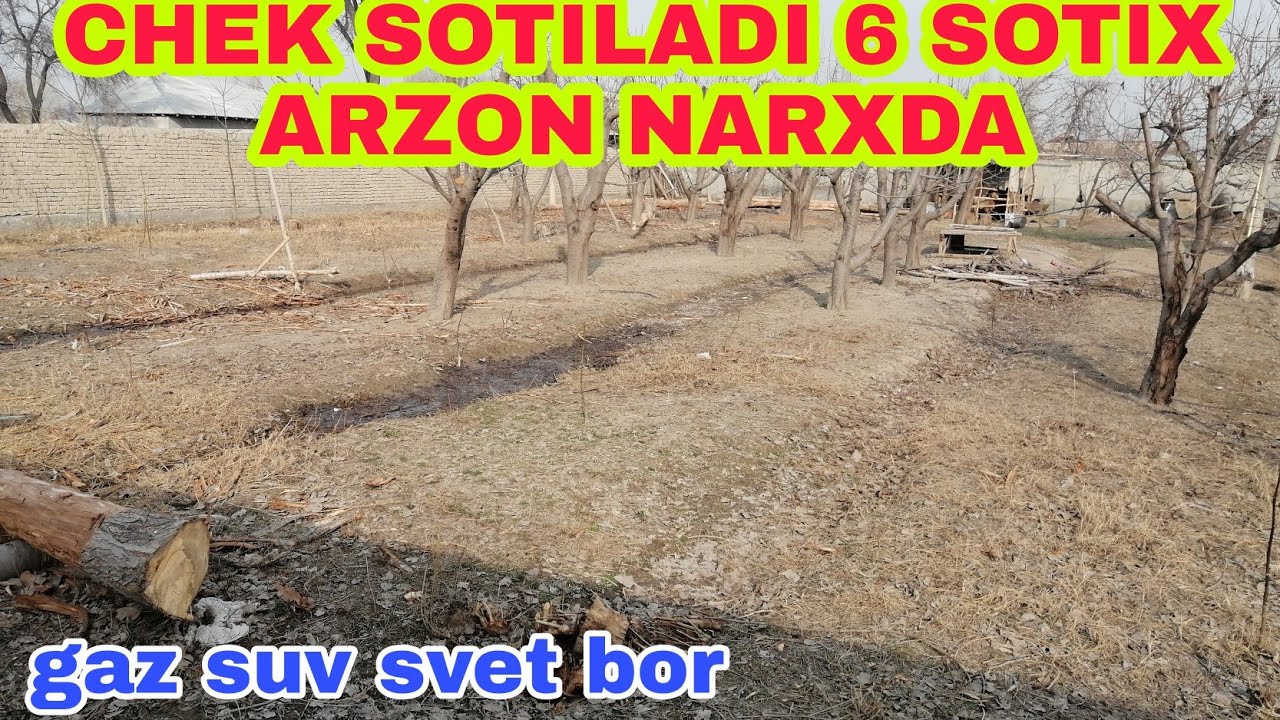 CHEK SOTILADI 6 SOTIX ARZON NARXDA